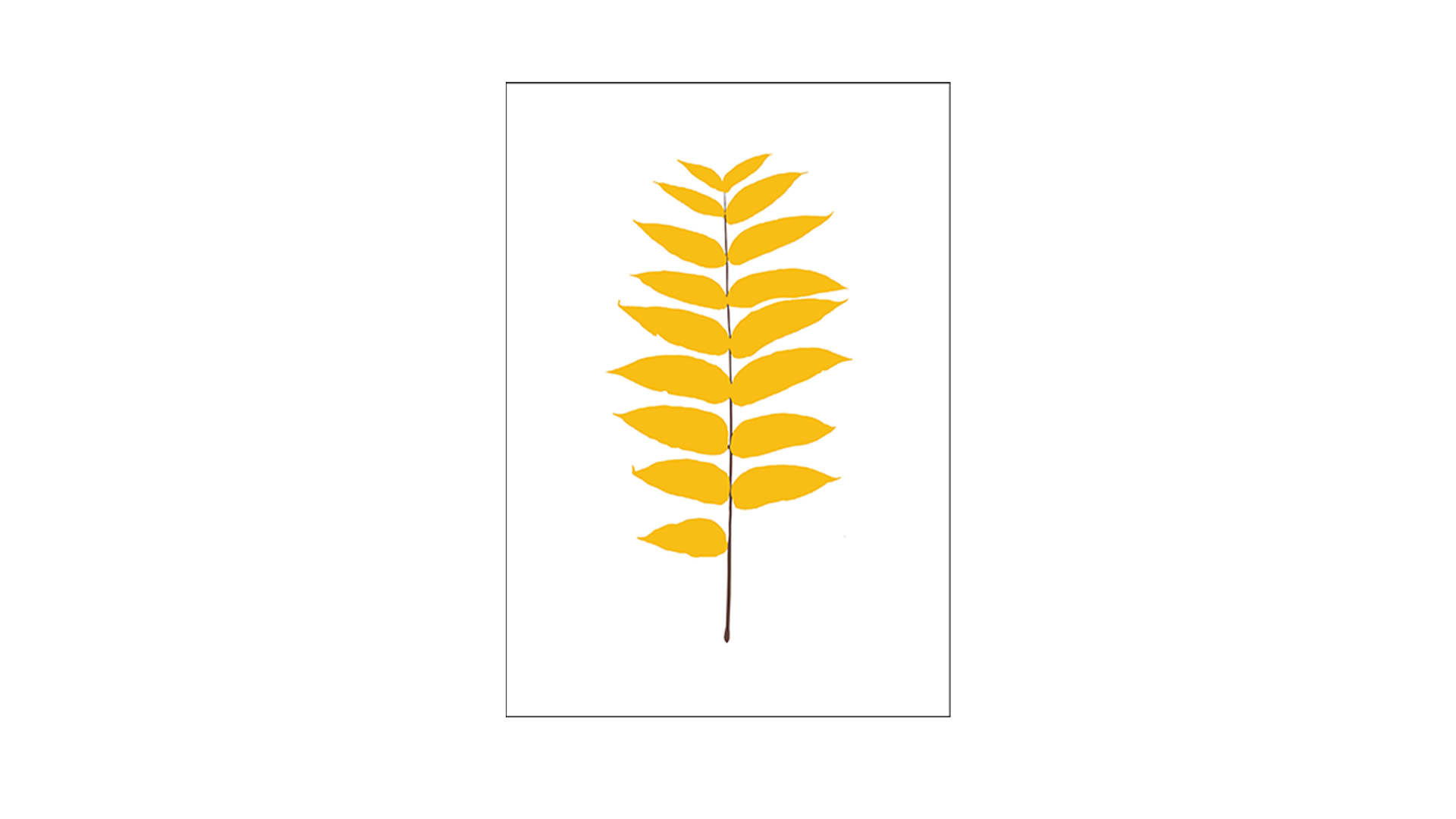 Leaves  by Magis Accessories